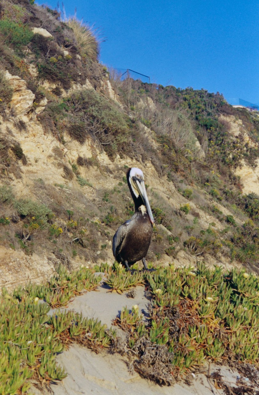 Adrians birthday sometime after the Oxford trip 5